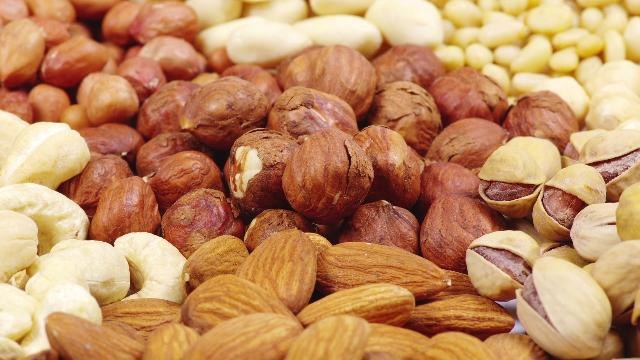 Police use squirrel mugshot to help find nut thief