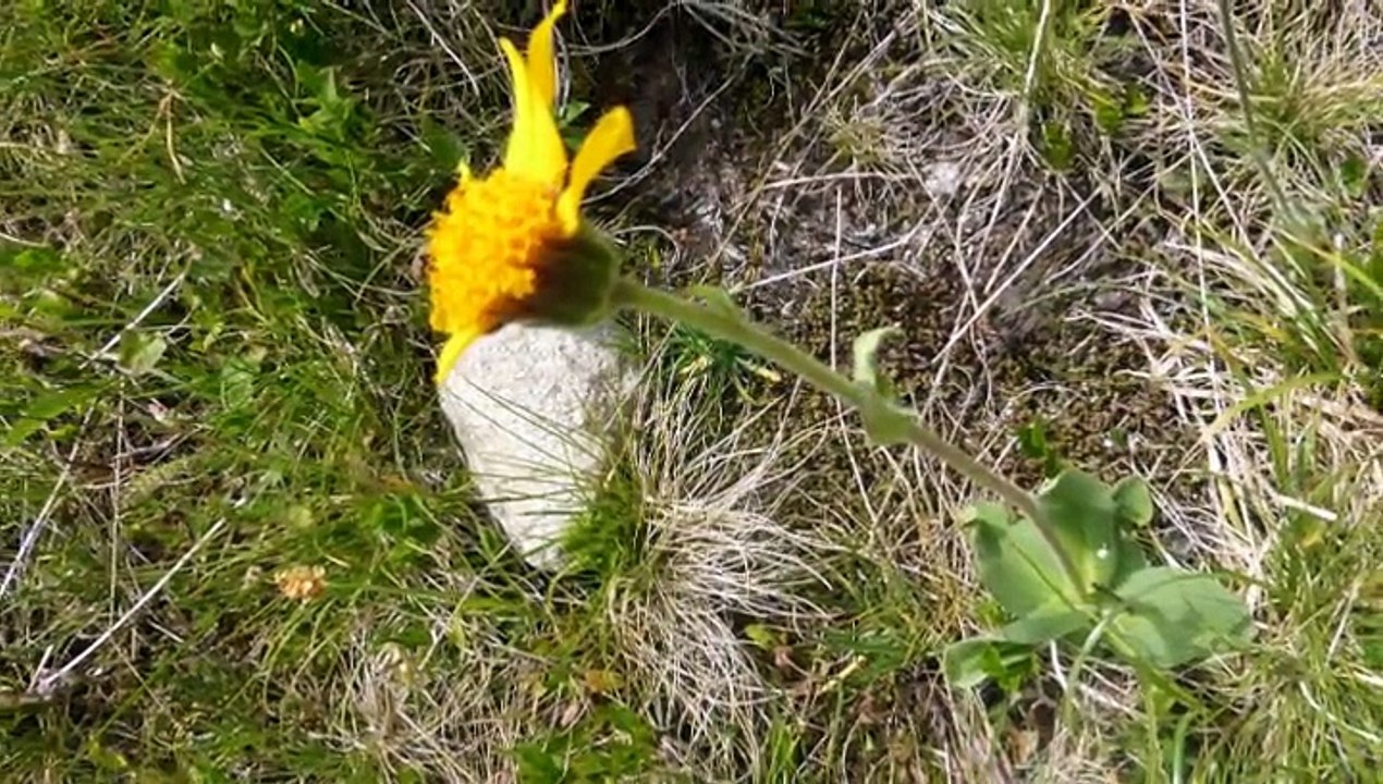 2015-07-07 valgaudemar2