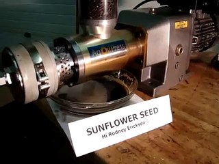 Sunflower Seed Oil Extraction