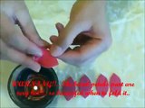 Diy How to Make Plumeria Frangipani Craft Foam Flower - Hair Bow, Brooch, Room/Gift Decoration