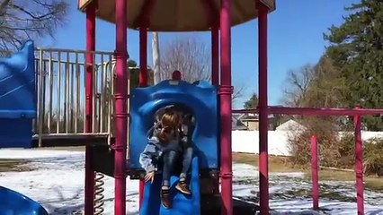 Voilà pourquoi vous ne devez jamais faire de toboggan avec votre dogue allemand...