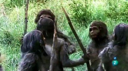 La odisea de la especie - Los primeros hombres.