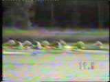 World Champs 1985 8 mens B final