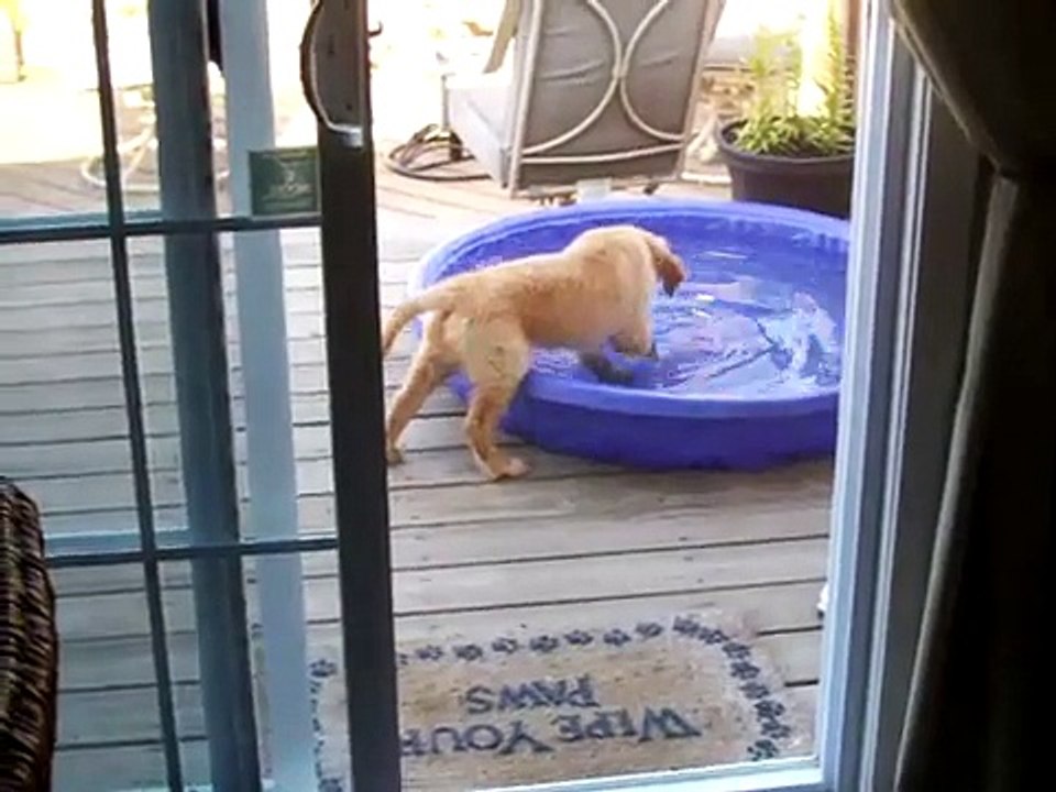 Jake explores the baby pool
