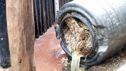 Illigal brews being poured