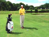 Golf Tip: The Basic Pitch; Hank Haney