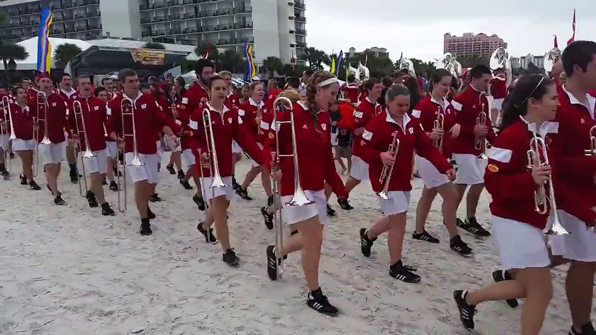 ⁣Badger band Clearwater Beach