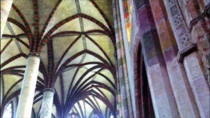 Toulouse : le palmier du couvent des Jacobins