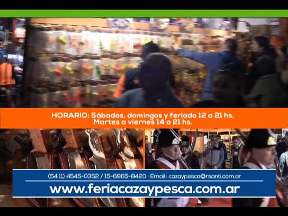 Panorama TV 238