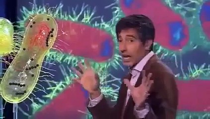 DOKU Die Welt der Bakterien (Quarks & Co 13 12 2011)