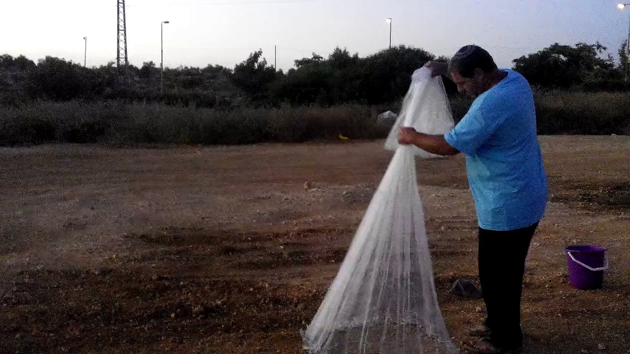 איך זורקים רשת שבקה, להזמנות 054-4990019