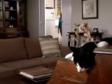 Meow Mix TV spot with teleporting piano playing cat