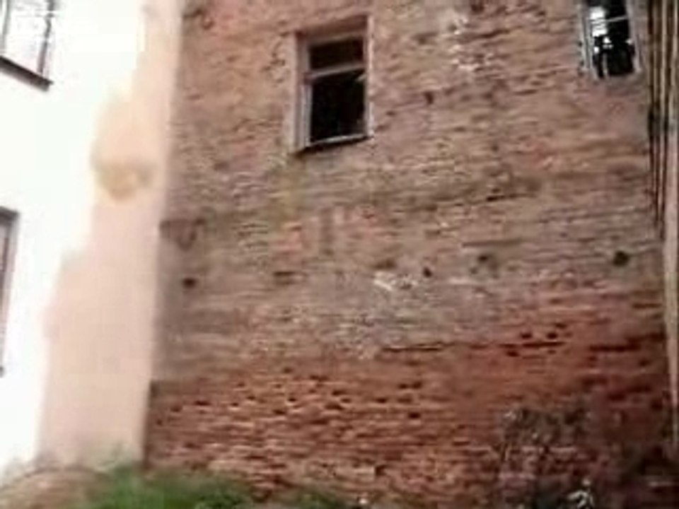 Dvinsk clan parkour