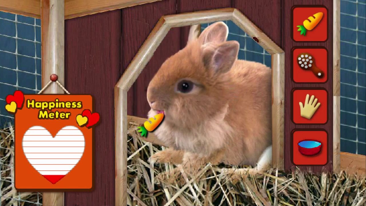Chica Show Chica's Adventure Cartoon Animation Sprout PBS Kids Game Play Walkthrough