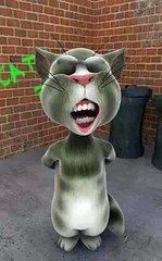 Tom le chat qui parle