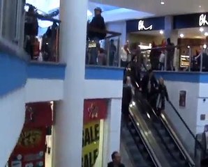 Tour of lifts at Churchill Square shopping centre in brighton