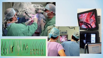 Prof. Helmut Bertalanffy, The Art of Brain Surgery, at BERLIN.MINDS