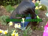 Guerilla Gardening Kensal Green London GGTV