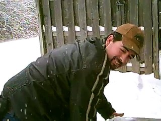 siberian husky eats snowball