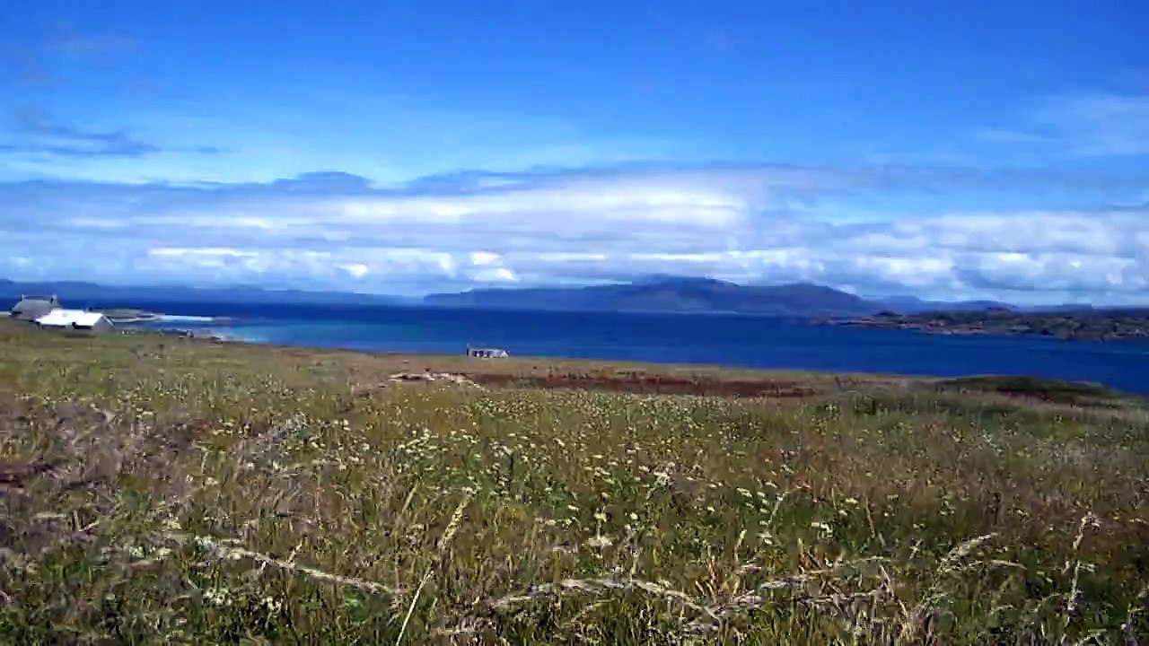Corncrake calling