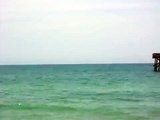 UFO FILMED OFFSHORE FROM FLAGLER BEACH FLORIDA, NO BIRD, NO PLANE, NO JOKE