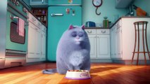 THE SECRET LIFE OF PETS - Meet Chloe Movie Clip