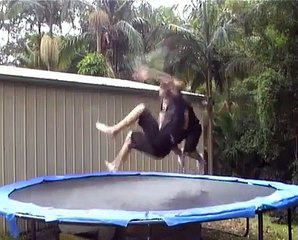 The Best Trampoline Wrestling Of All Time 4