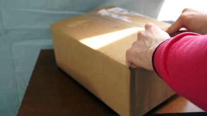 WWE Wednesday! Mysterious TOYS R US package unboxing