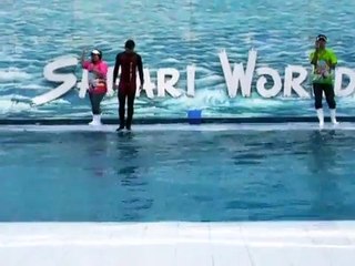 Beluga Show @ SAFARI WORLD Bangkok Thailand