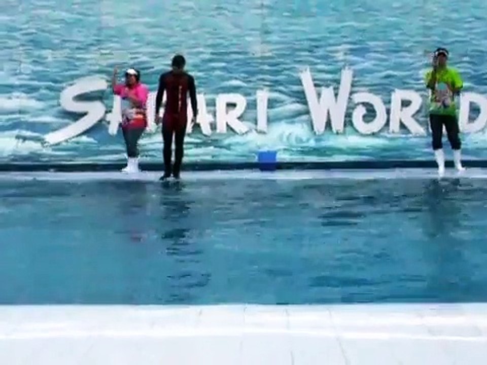Beluga Show @ SAFARI WORLD Bangkok Thailand