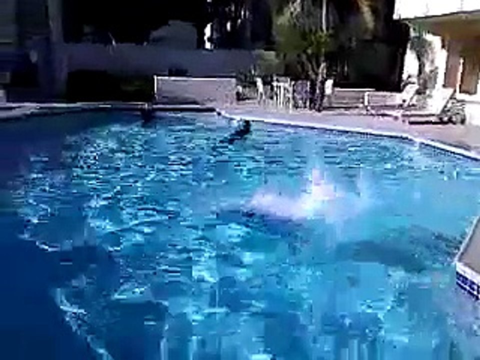 Kids Swimming with their clothes on
