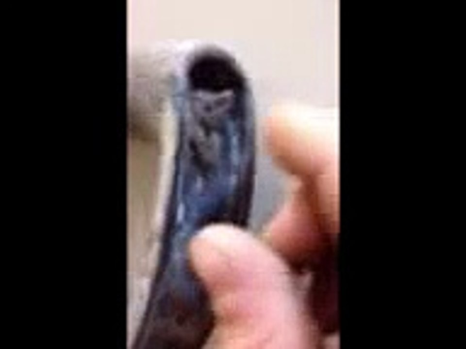video3gpp_2_2.3gp