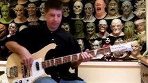 Freewill Bass Cover
