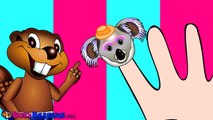 Finger Family Koala Puppets   Learning Easy English for Kids, Catchy Pop Song, Cute Animals, Baby