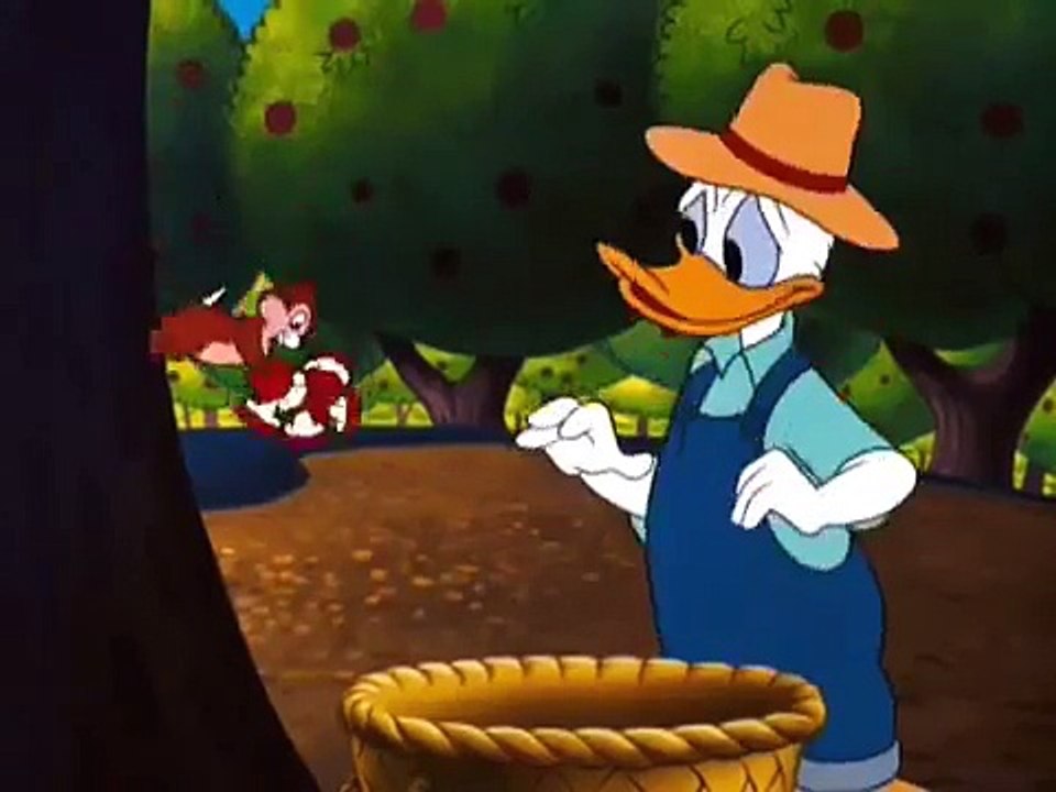 Donald Duck  Chip And Dale Cartoon - Donald Applecore