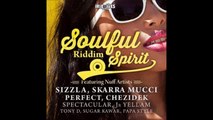 New Reggae Music, Instrumental, Soulful Spirit Riddim, October, 2014