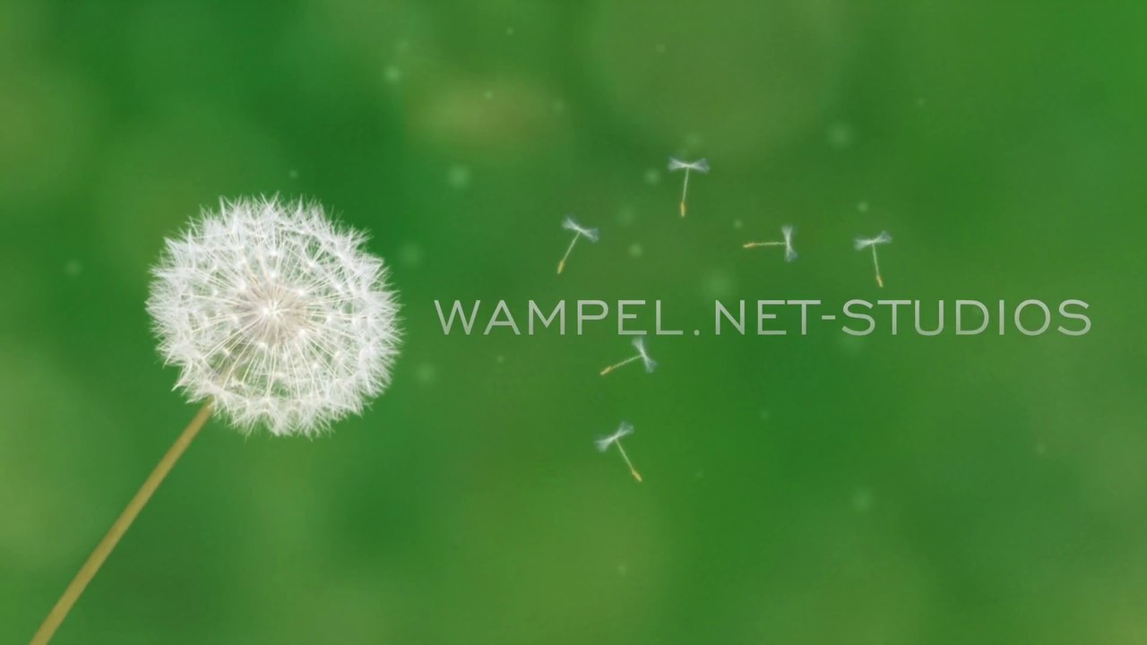 Wampel sagt: 'Danke fürs Doofsein'