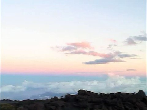 Effects Of Electromagnetic Fields And Radio Frequency Radiation On Living Cells