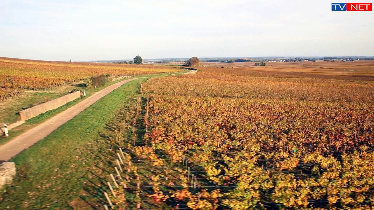 Les Climats du Vignoble de Bourgogne