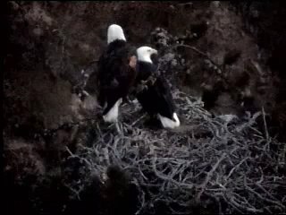 Happy Birthday, Manu!