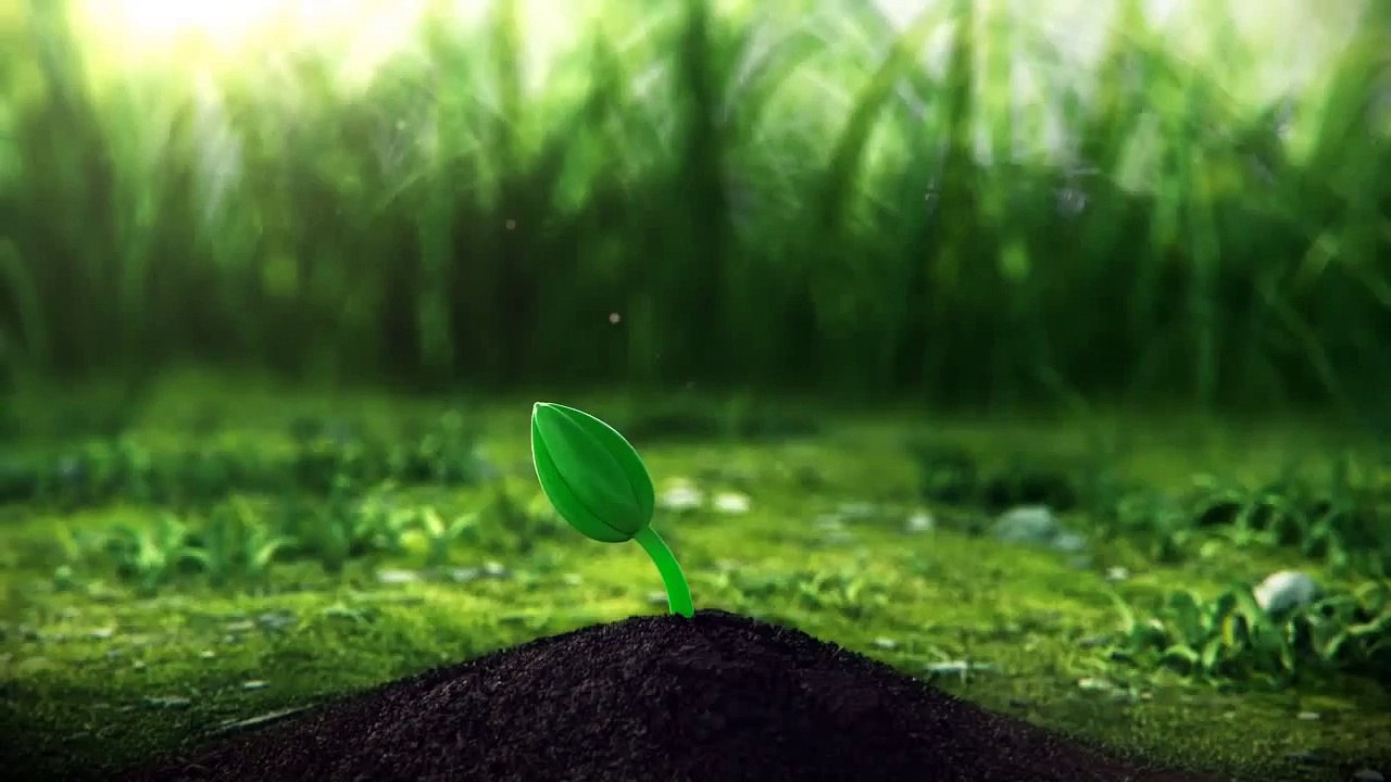 plant logo