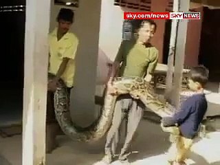 Cambodian Boy Keeps Python Pet