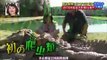 Funny Japanese Pranks: Humans vs Crocodile [Engsub]