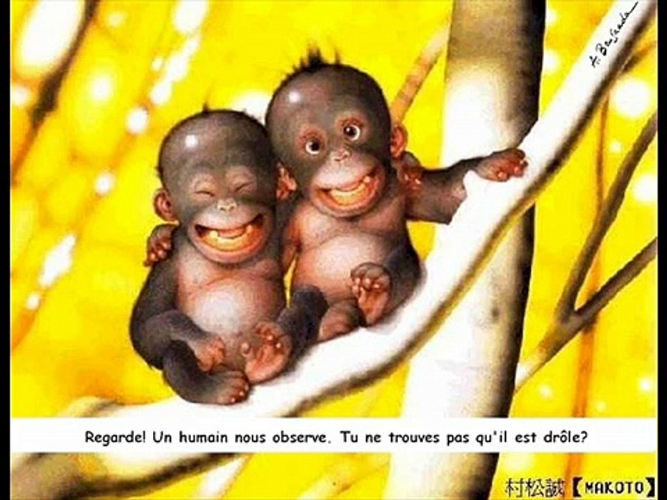 Photos drole d animaux/funny animal!n°2