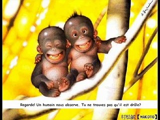 Photos drole d animaux/funny animal!n°2