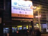 World Dog Show 2006-Caucasian Ovcharka