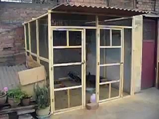 Corral,con Gallinas Chilenas(1/2)