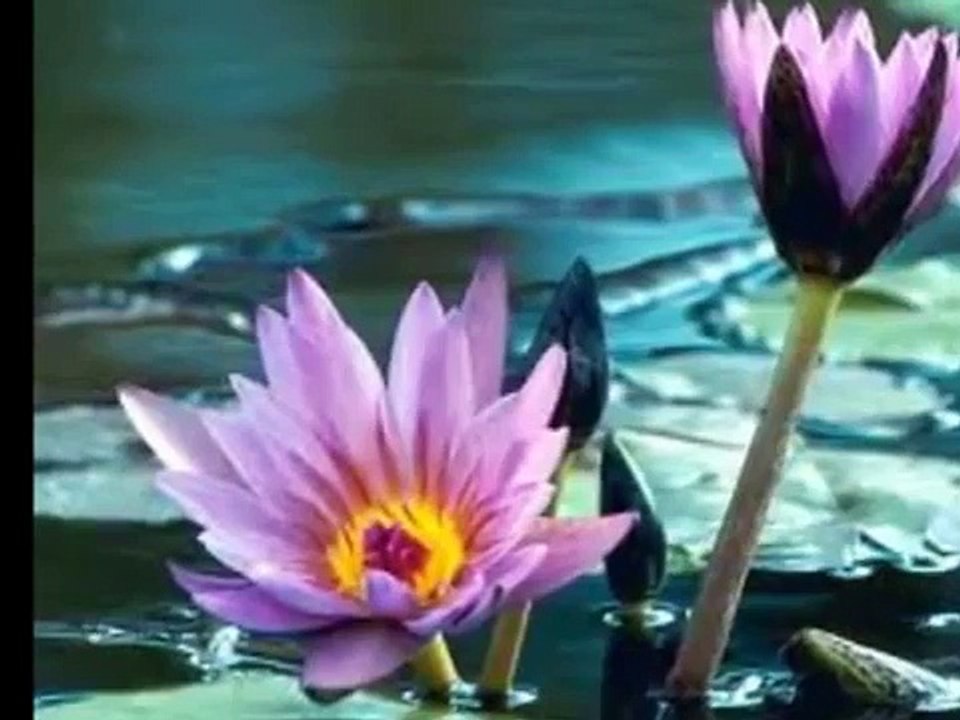 Demente - Tercer cielo & Anette Moreno